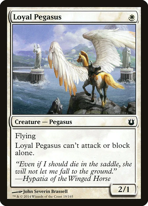 Loyal pegasus - BNG - C