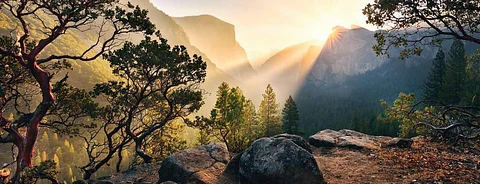  Ravensburger Rompecabezas Adultos: El parque Yosemite 1000 piezas 