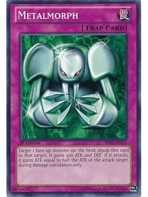 Metalmorph - BP02-EN173 - Common 