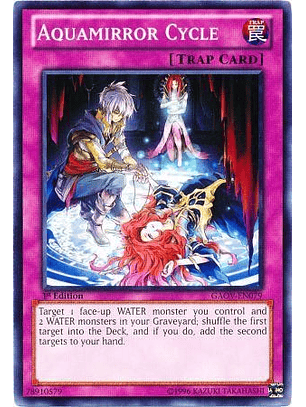 Aquamirror Cycle - GAOV-EN079 - Common