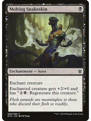 Molting snakeskin - KTK - C