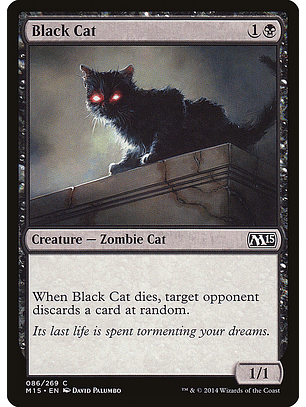 Black cat - M15 - C