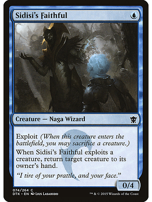 Sidsi's faithful - DTK - C