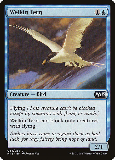 Welkin tern - M15 - C