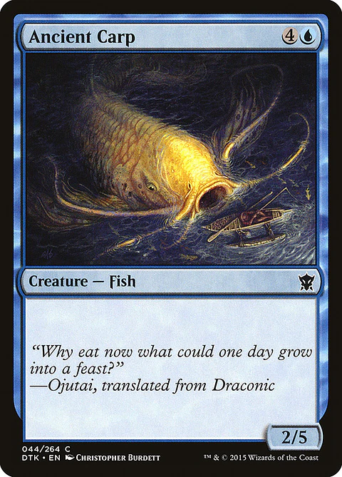 Ancient carp - DTK - C
