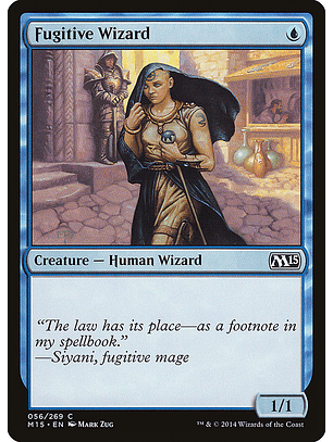 Fugitive wizard - M15 - C