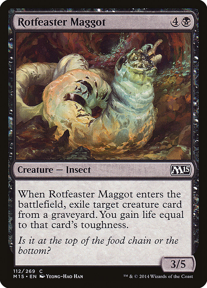 Rotfeaster maggot - M15 - C 1