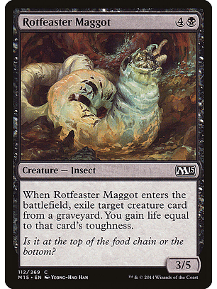 Rotfeaster maggot - M15 - C