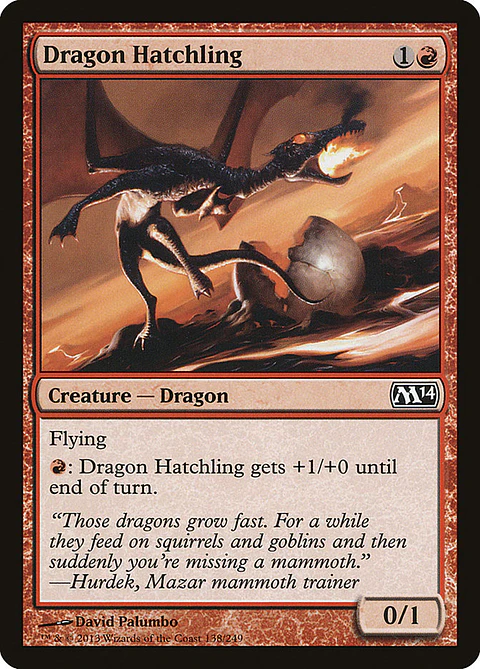 Dragón hatchling - M14 - C