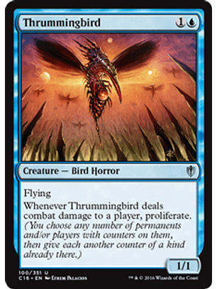Thrummingbird - C16 - U