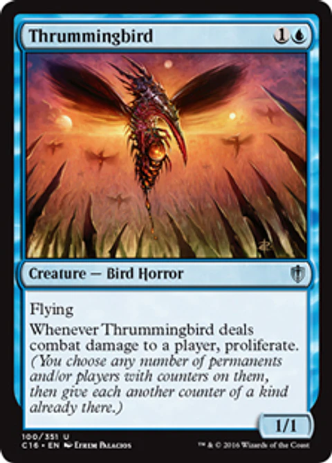 Thrummingbird - C16 - U