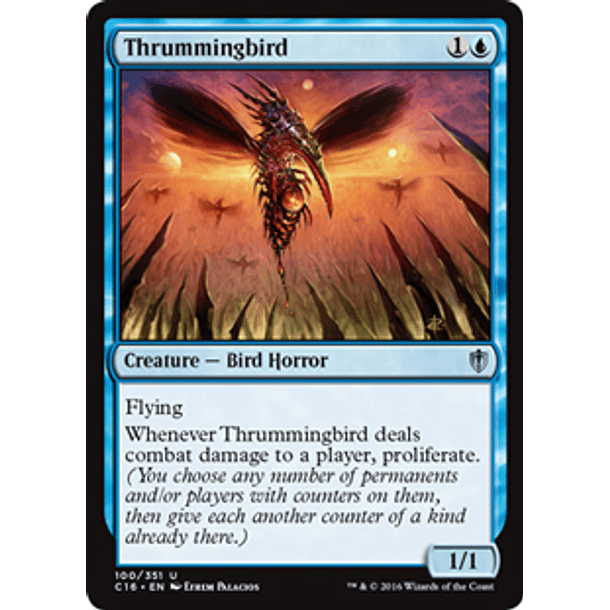Thrummingbird - C16 - U