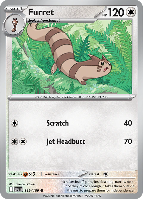 Furret - 119/159 - Common - JTG 