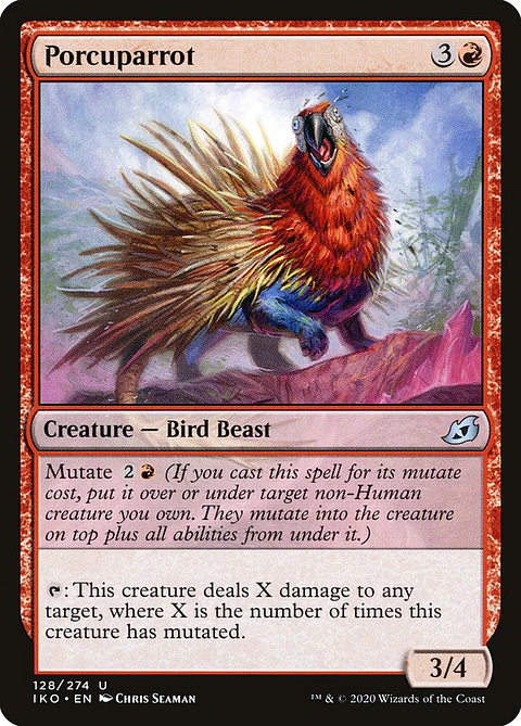 Porcuparrot - IKO - U