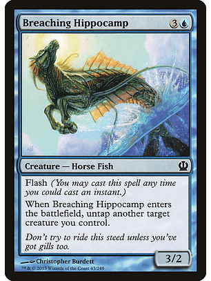 Breaching hippocamp -THS - C