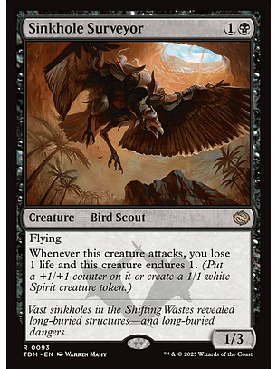 Sinkhole Surveyor - TDM - R 