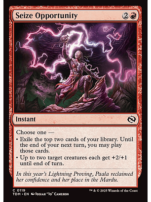 Seize Opportunity - TDM - C 