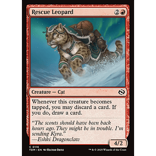 Rescue Leopard - TDM - C 