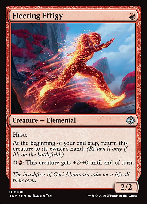 Fleeting Effigy - TDM - U 