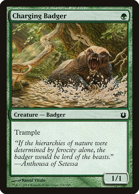 Charging badger - BNG - C