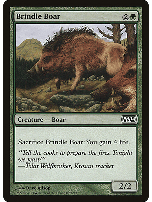 Brindle boar - M14 - C