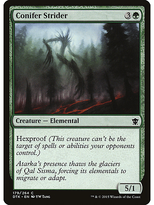 Conifer strider - DTK - C