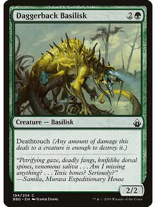 Daggerback basilisk - BBD - C