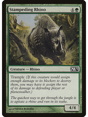 Stampeding rhino - M12 - C
