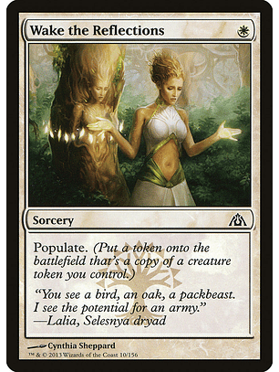 Wake the reflections - DGM - C