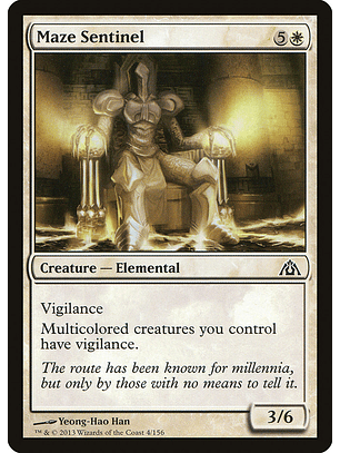 Maze sentinel - DGM - C