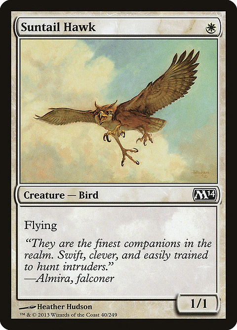 Sulntail hawk - M14 - C