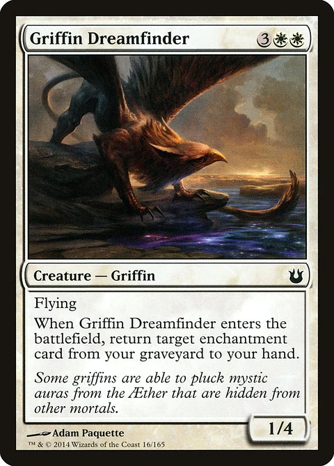Griffin dreamfinder - BNG - C