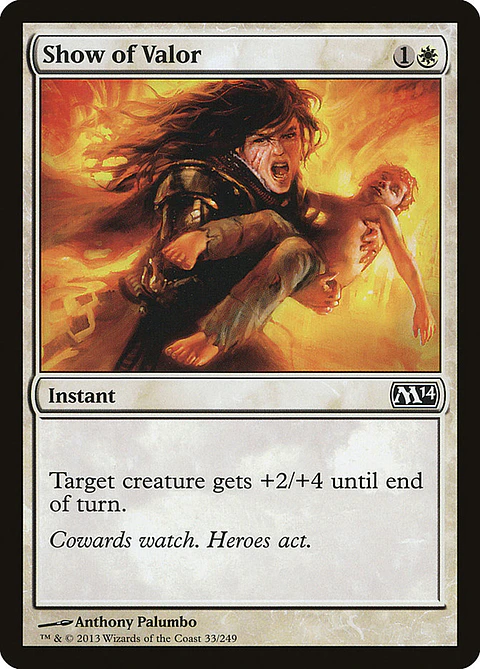 Show of valor - M14 - C 