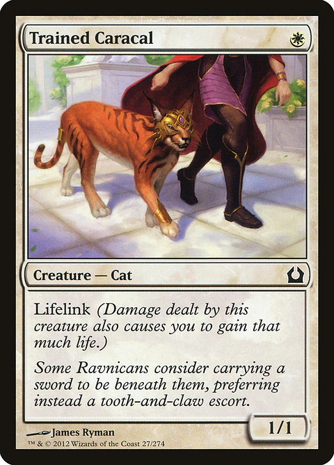 Trained caracal - RTR - C