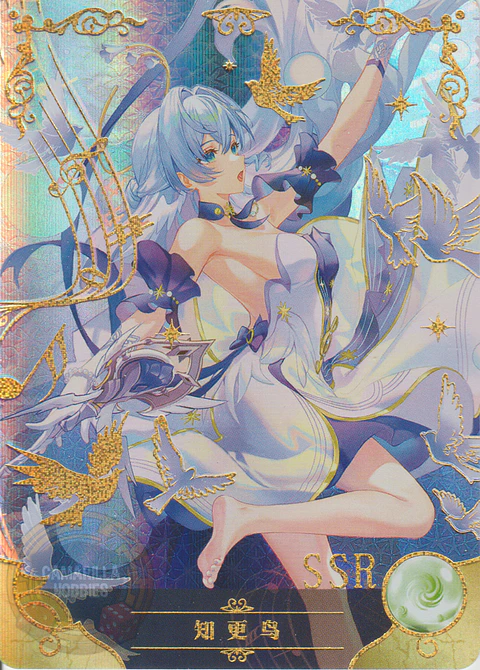 Robin - NS-10M06-18 - SSR