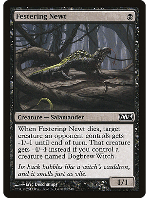 Festering newt - M14 - C