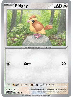 Pidgey - 162/197 - Common - OBF