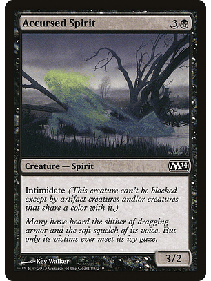 Accursed spirit - M14 - C