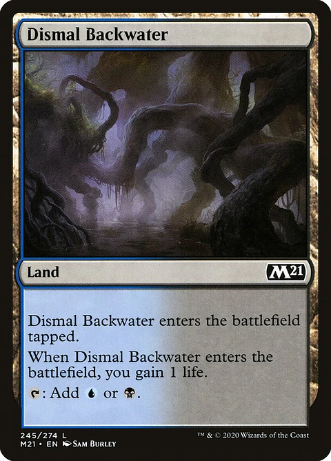 Dismal back - M21 - l