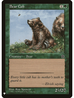 Bear cub - THE LIST - C
