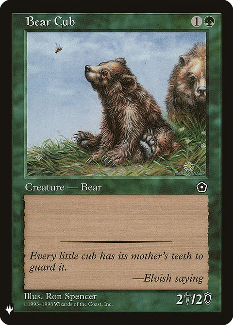 Bear cub - THE LIST - C