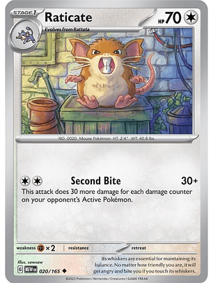 Raticate - 020/165 - Uncommon - Mew