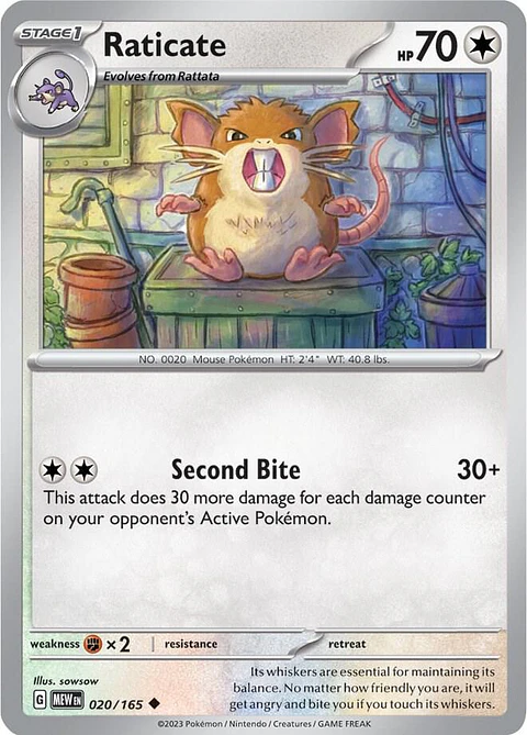 Raticate - 020/165 - Uncommon - Mew