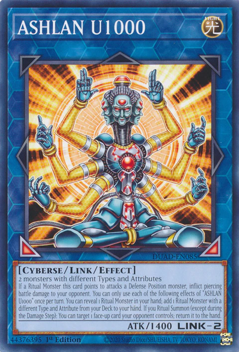 ASHLAN U1000 - DUAD-EN085 - Common 
