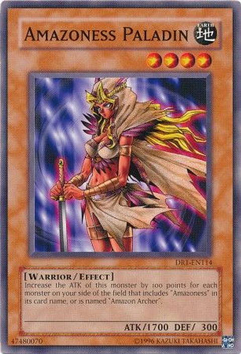 Amazoness Paladin - DR1-EN114 - Common