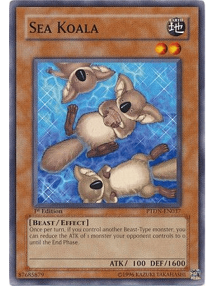 Sea Koala - PTDN-EN037 - Common