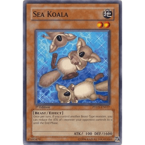 Sea Koala - PTDN-EN037 - Common