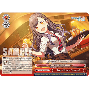 Top-Notch Server! - PJS/S91-E077 CC - Climax Common 