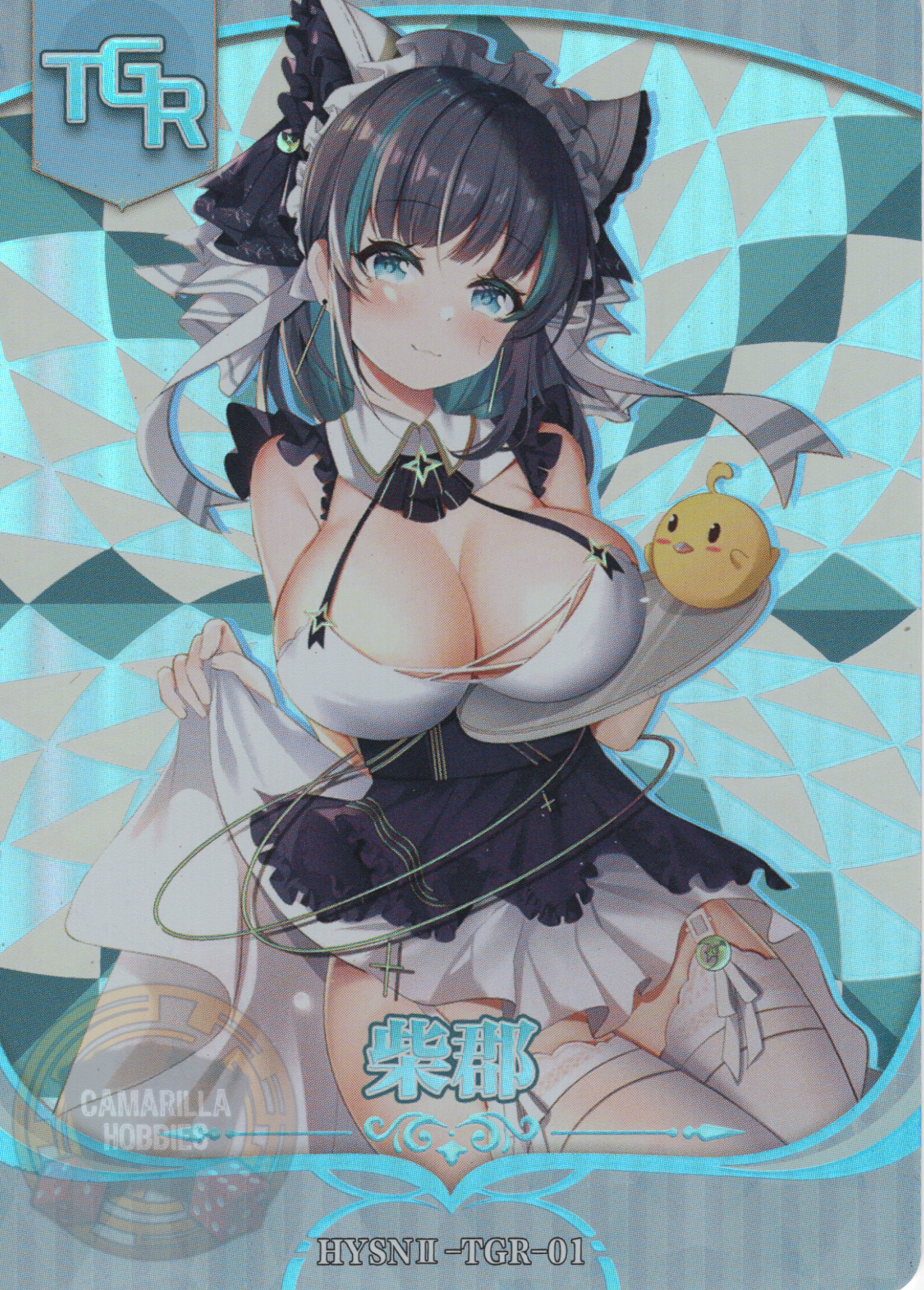 Cheshire - HYSN II - TGR - 01 1