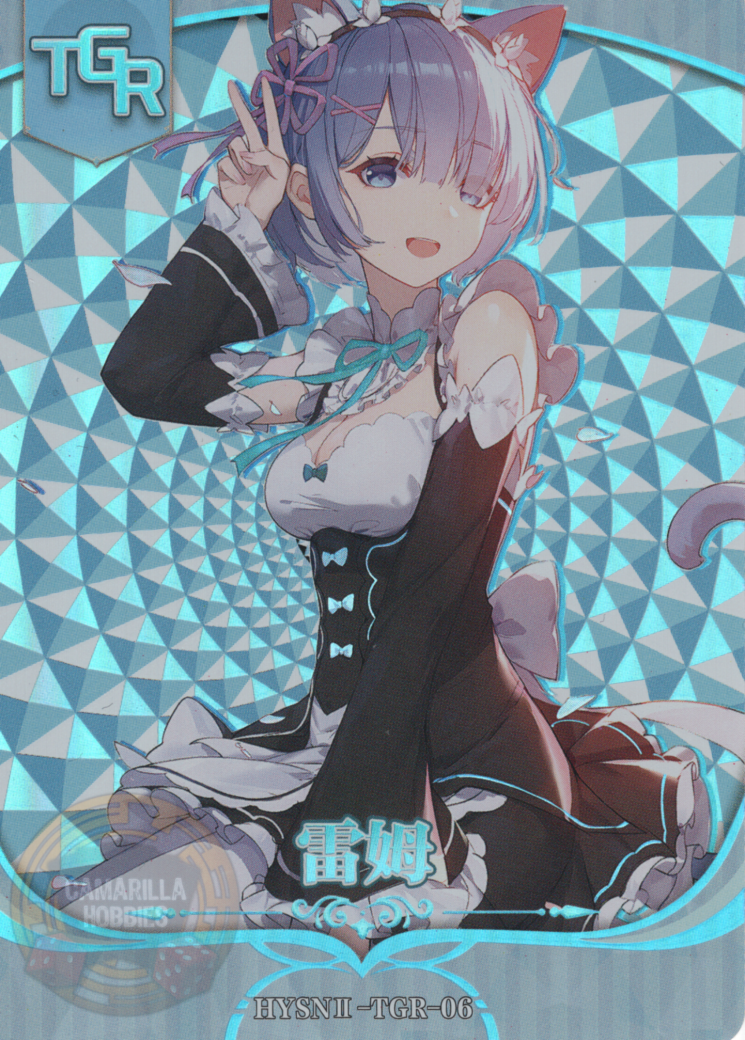 Rem - HYSN II - TGR - 06 1